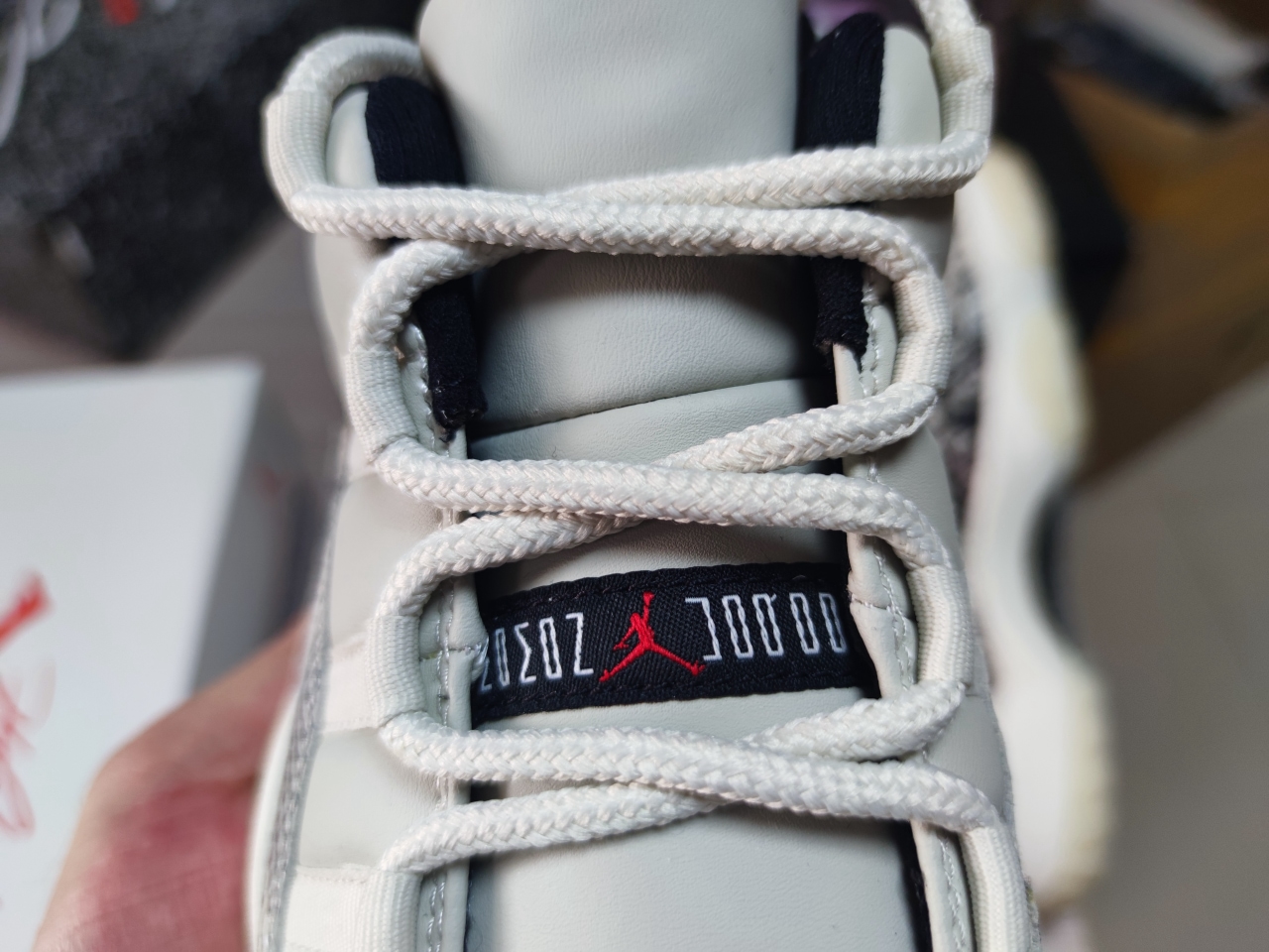 Jordan 11 Low “Snakeskin” CD6846 002