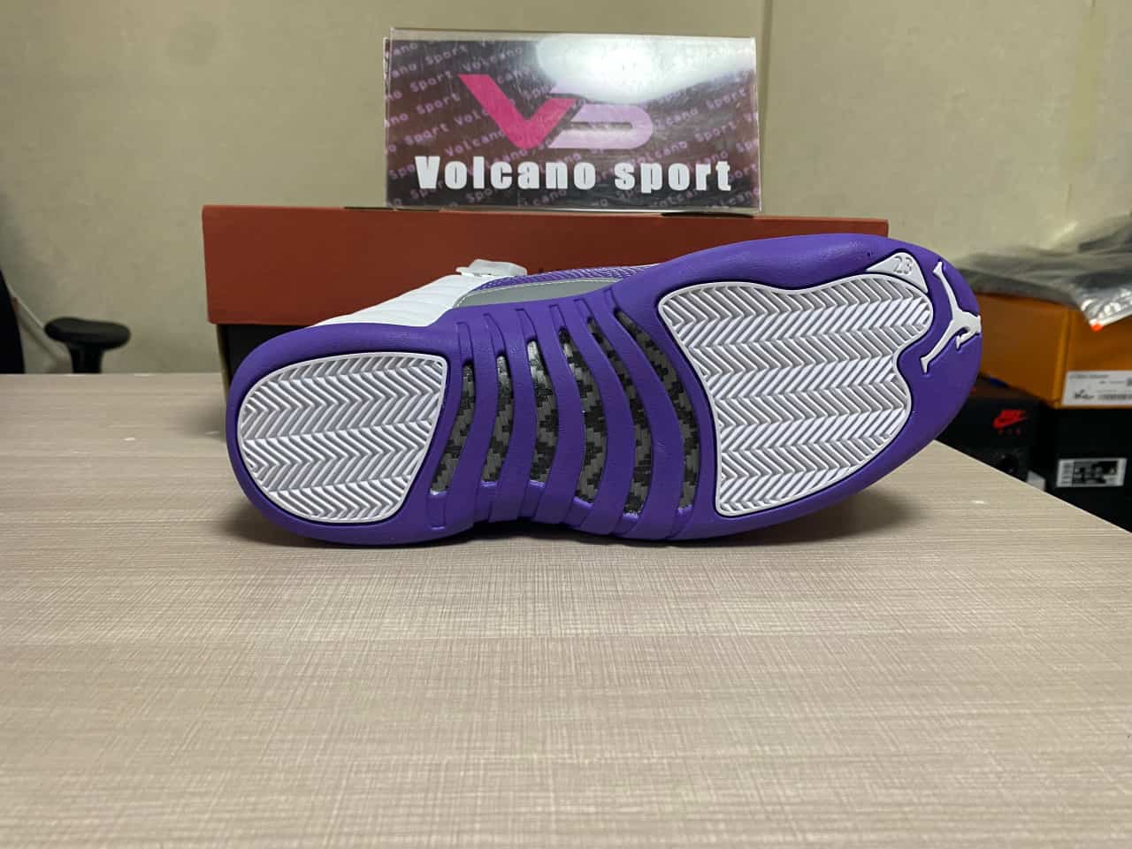 Air Jordan 12 white purple CT8013-150