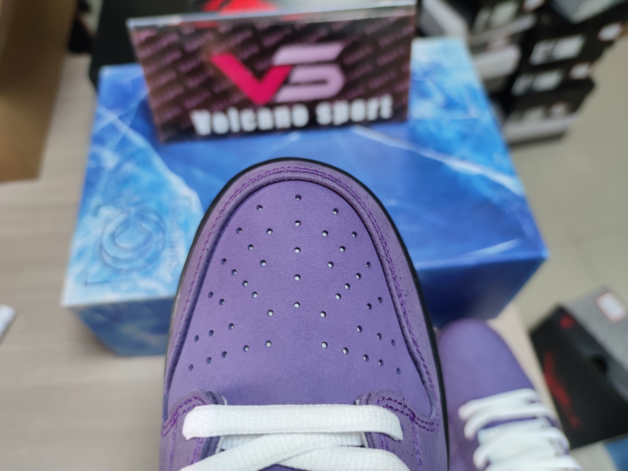 Concepts x SB Dunk Low “Purple Lobster” BV1310-555