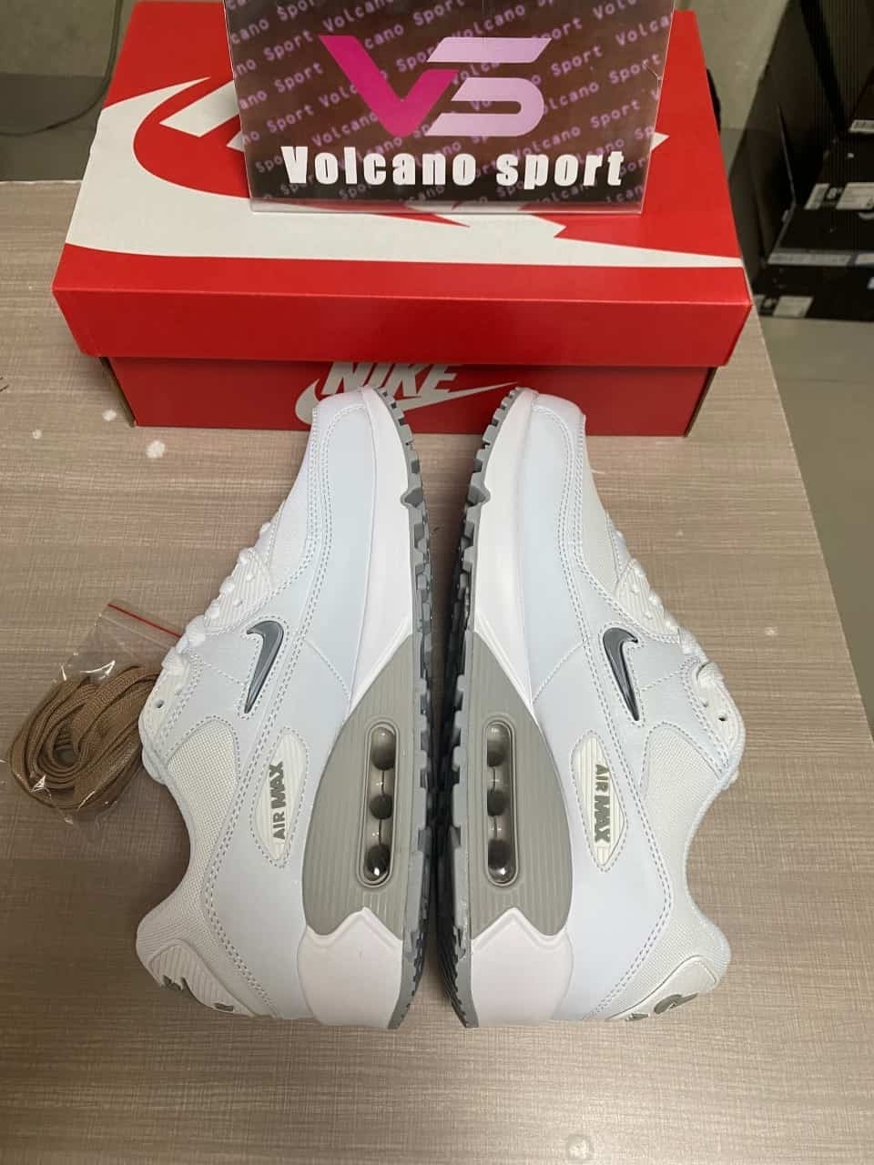 Nike Air Max 90 Light Blue and White FN8005-100