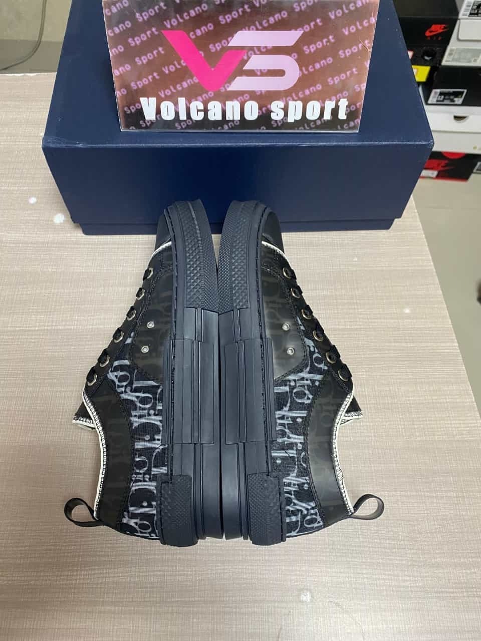 Dior B23 Low Top Canvas Oblique Black