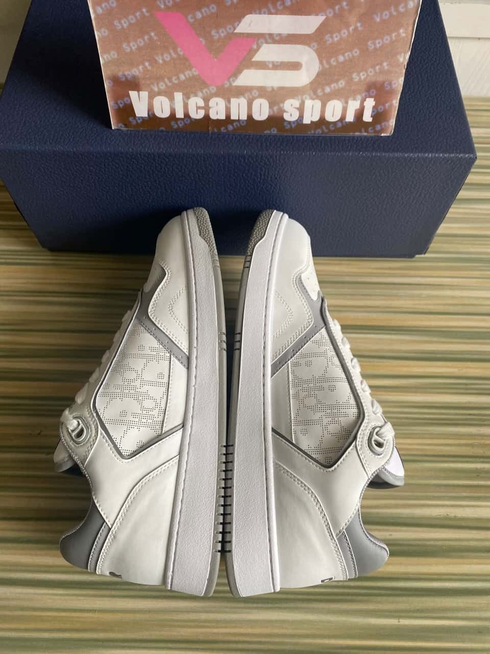 Dior B27 Low White Gray
