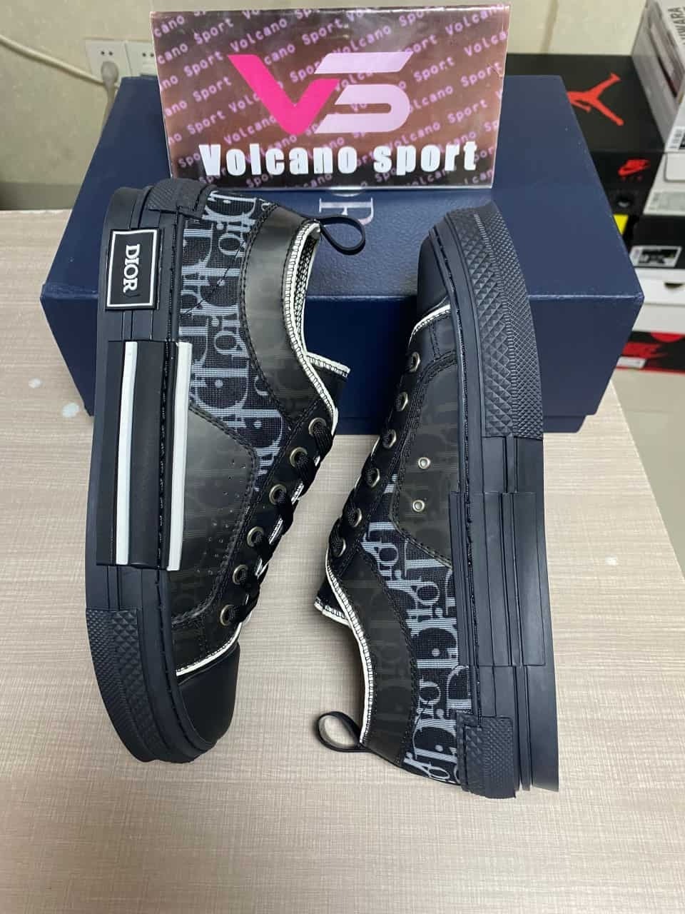 Dior B23 Low Top Canvas Oblique Black