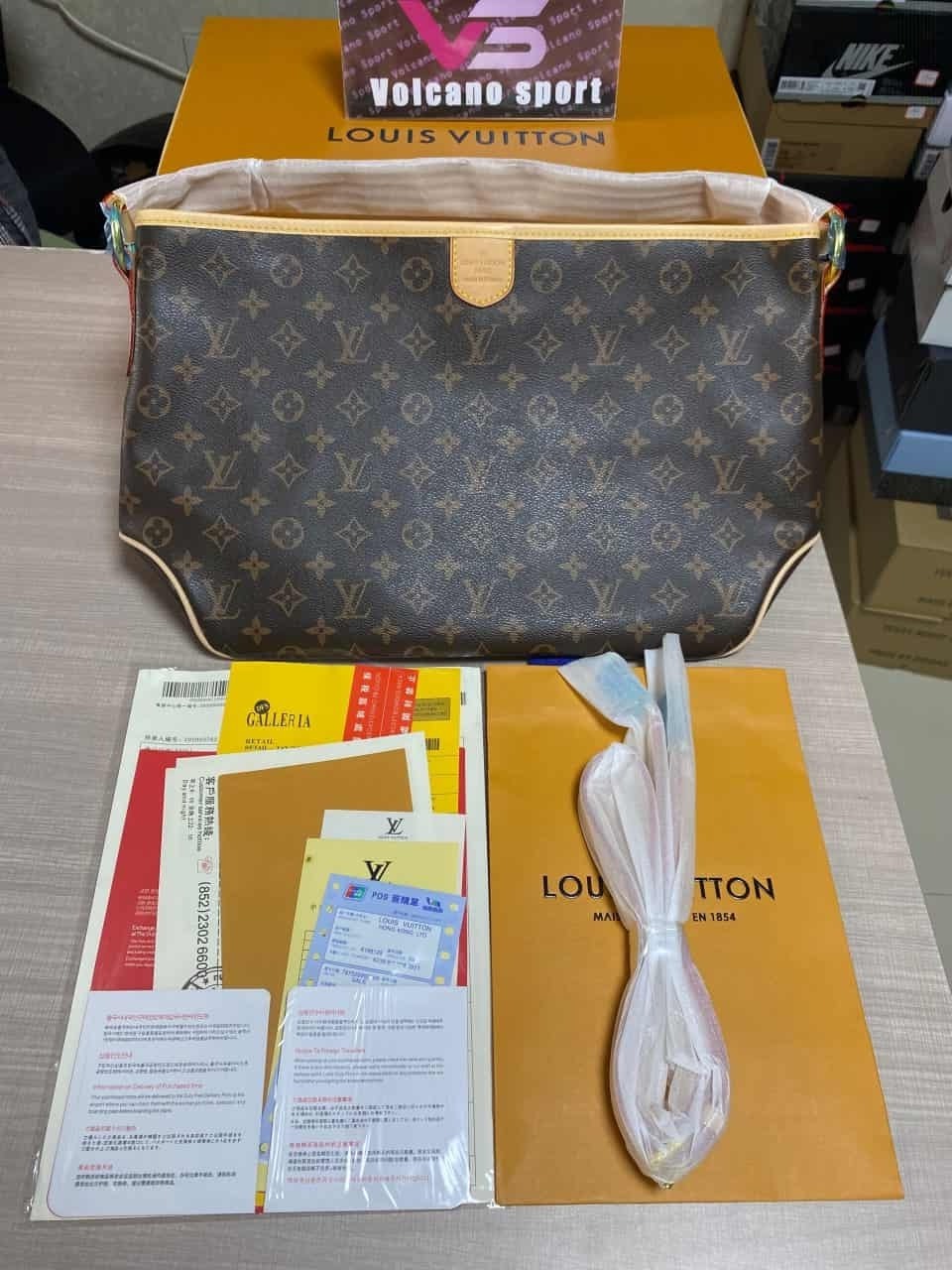 LV Delightful Handbag