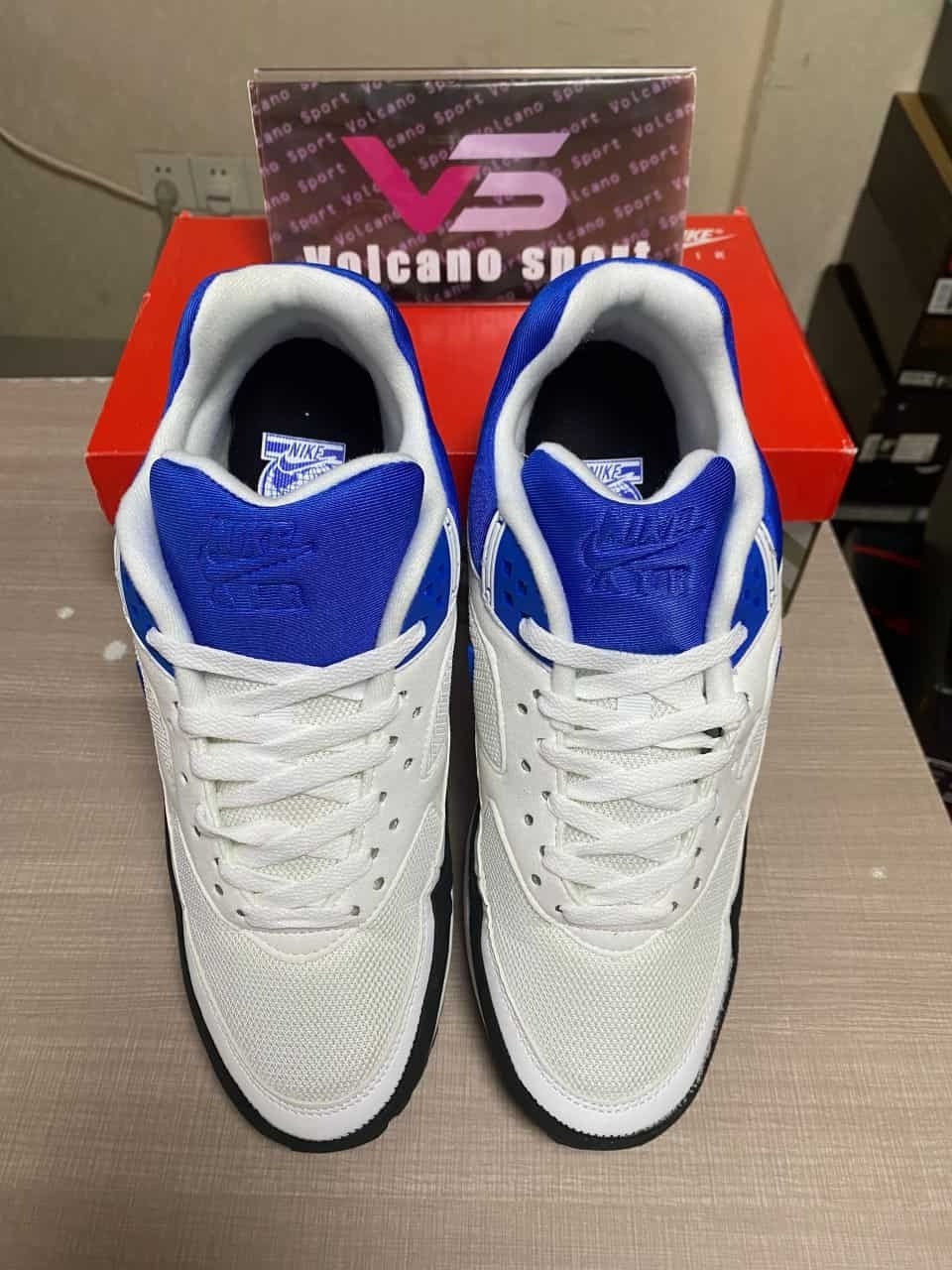 Air Max BW White Persian Violet DN4113-101