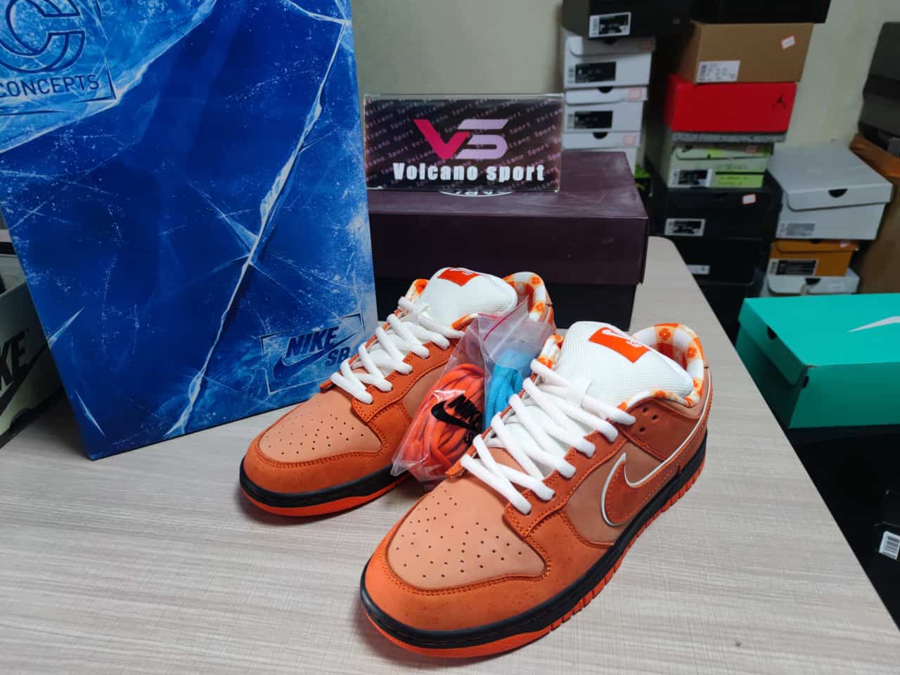 Concepts x SB Dunk Low “Orange Lobster” FD8776-800