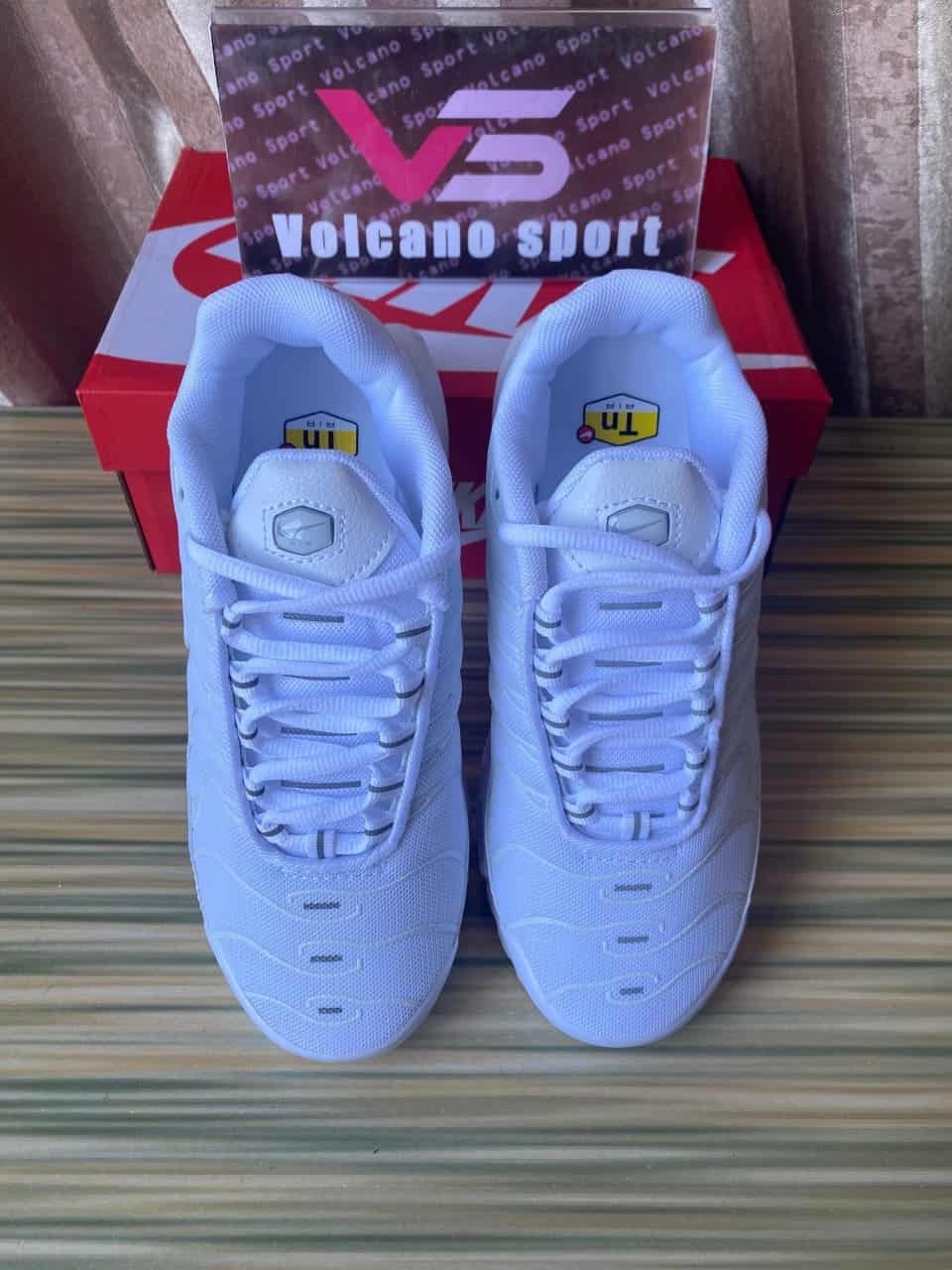 Air Max Plus White Pure Platinum DM2362-100