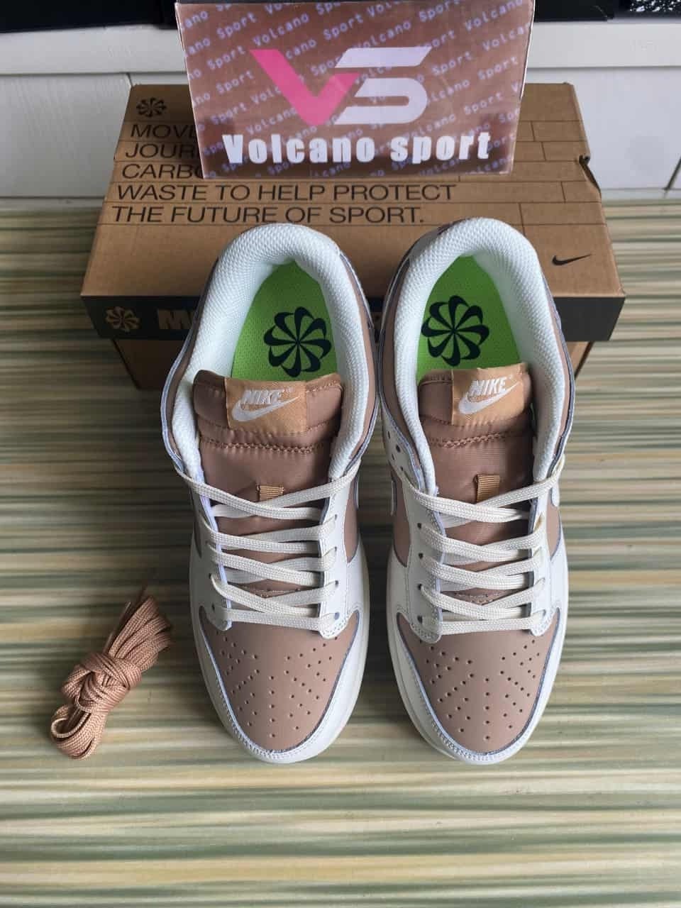 Nike Dunk Low Next Nature Beige Sail DD1873-200