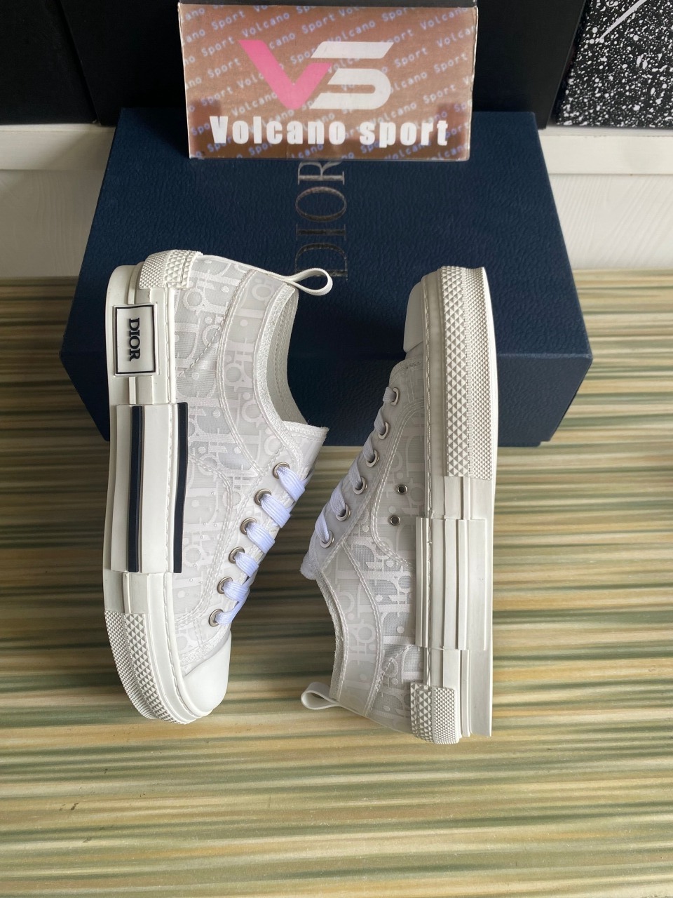 Dior B23 Low Top Oblique