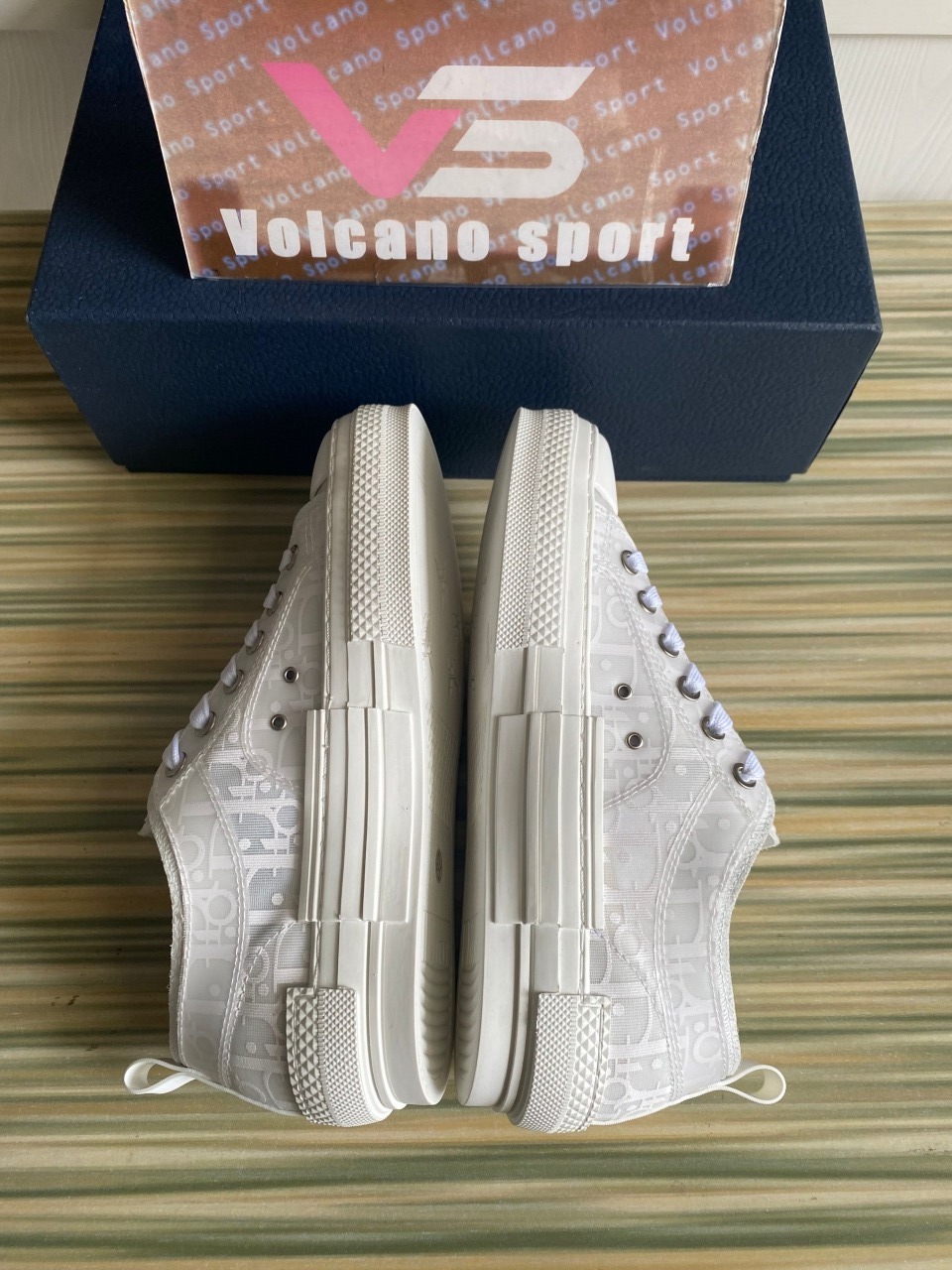 Dior B23 Low Top Oblique