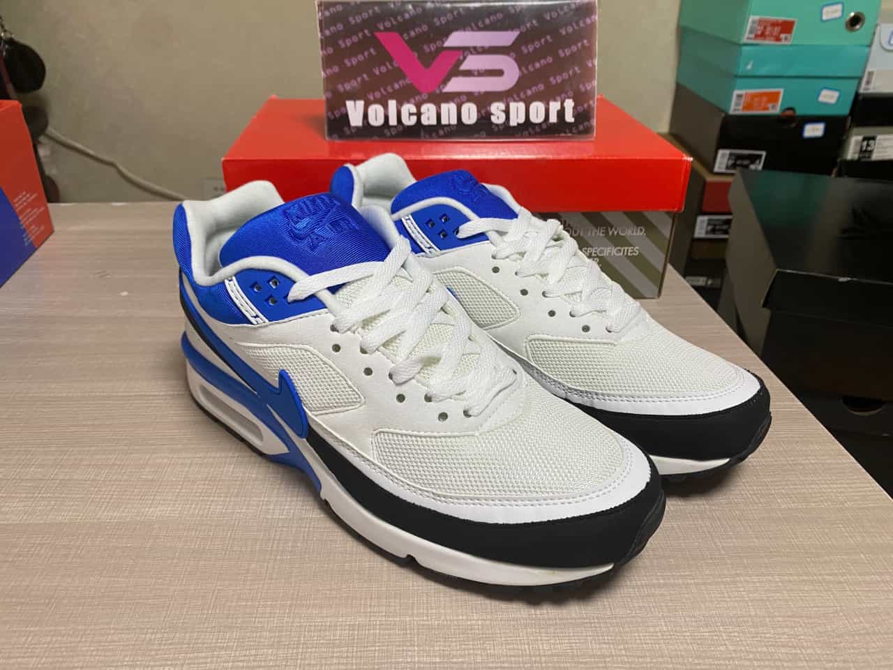 Air Max BW White Persian Violet DN4113-101