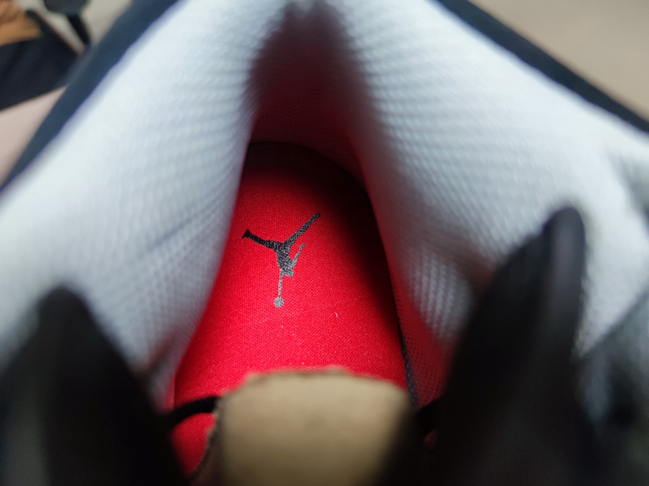 Jordan 1 Mid SE Elephant Print DM1200 016