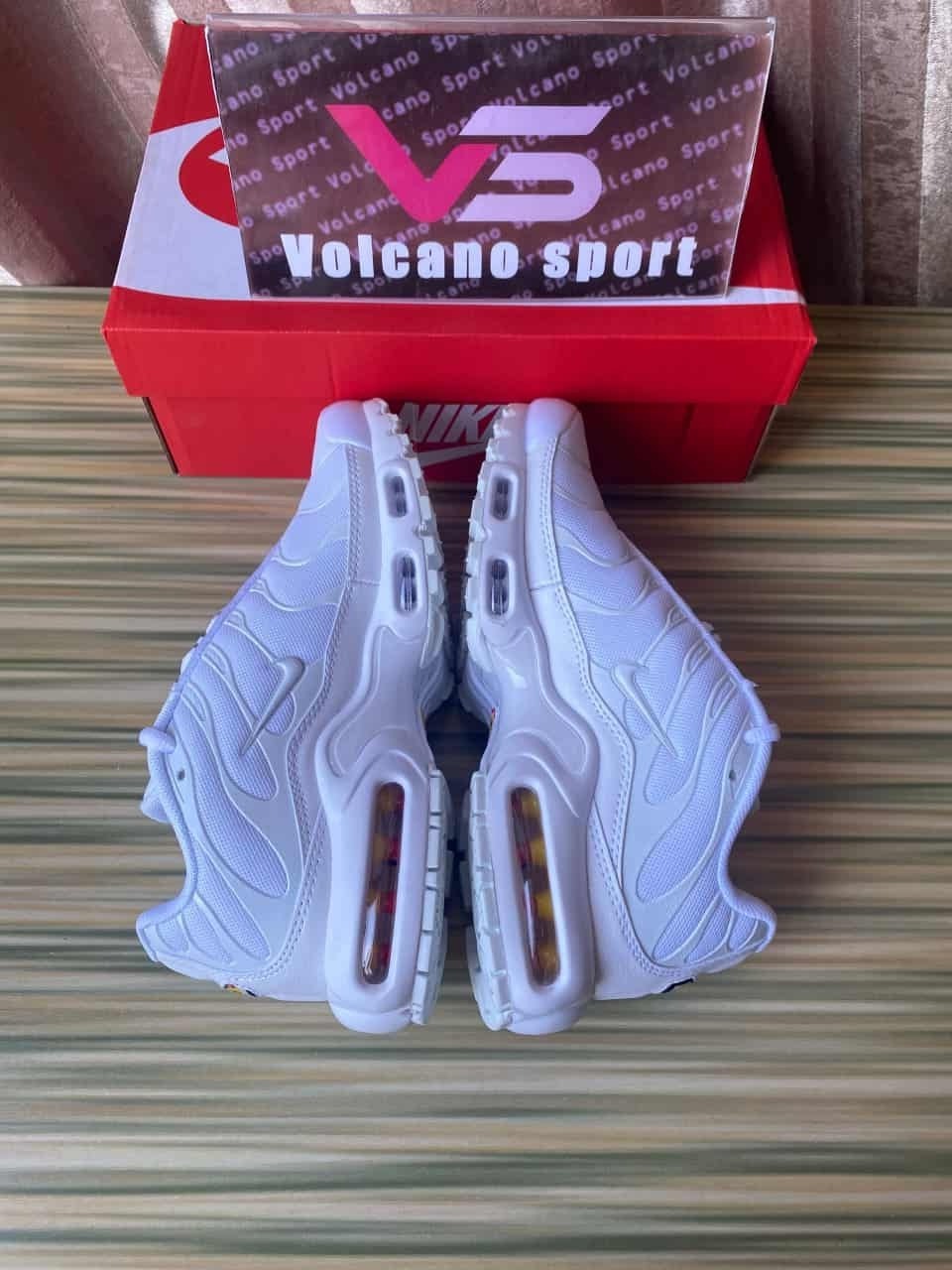 Air Max Plus White Pure Platinum DM2362-100