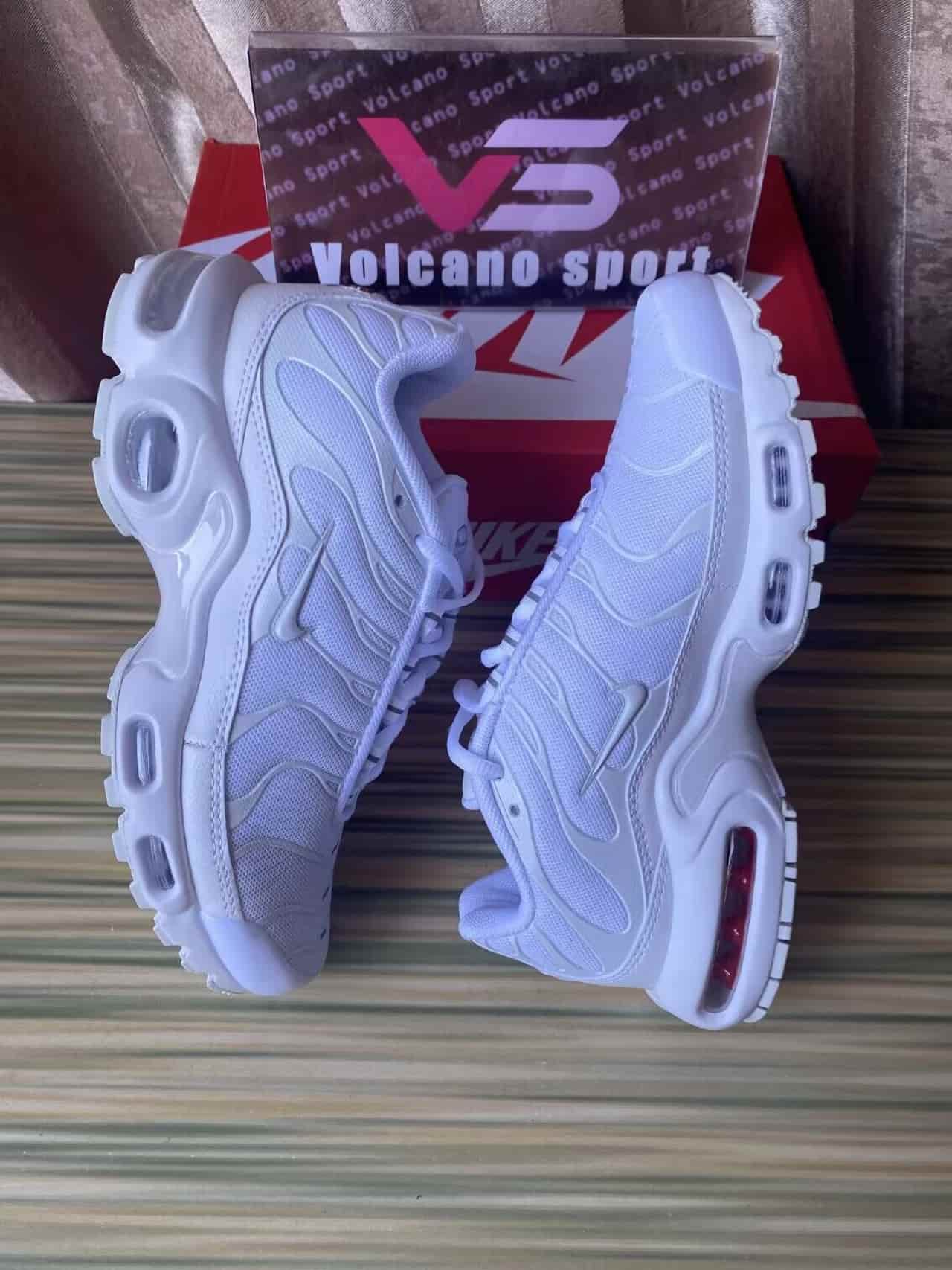 Air Max Plus White Pure Platinum DM2362-100