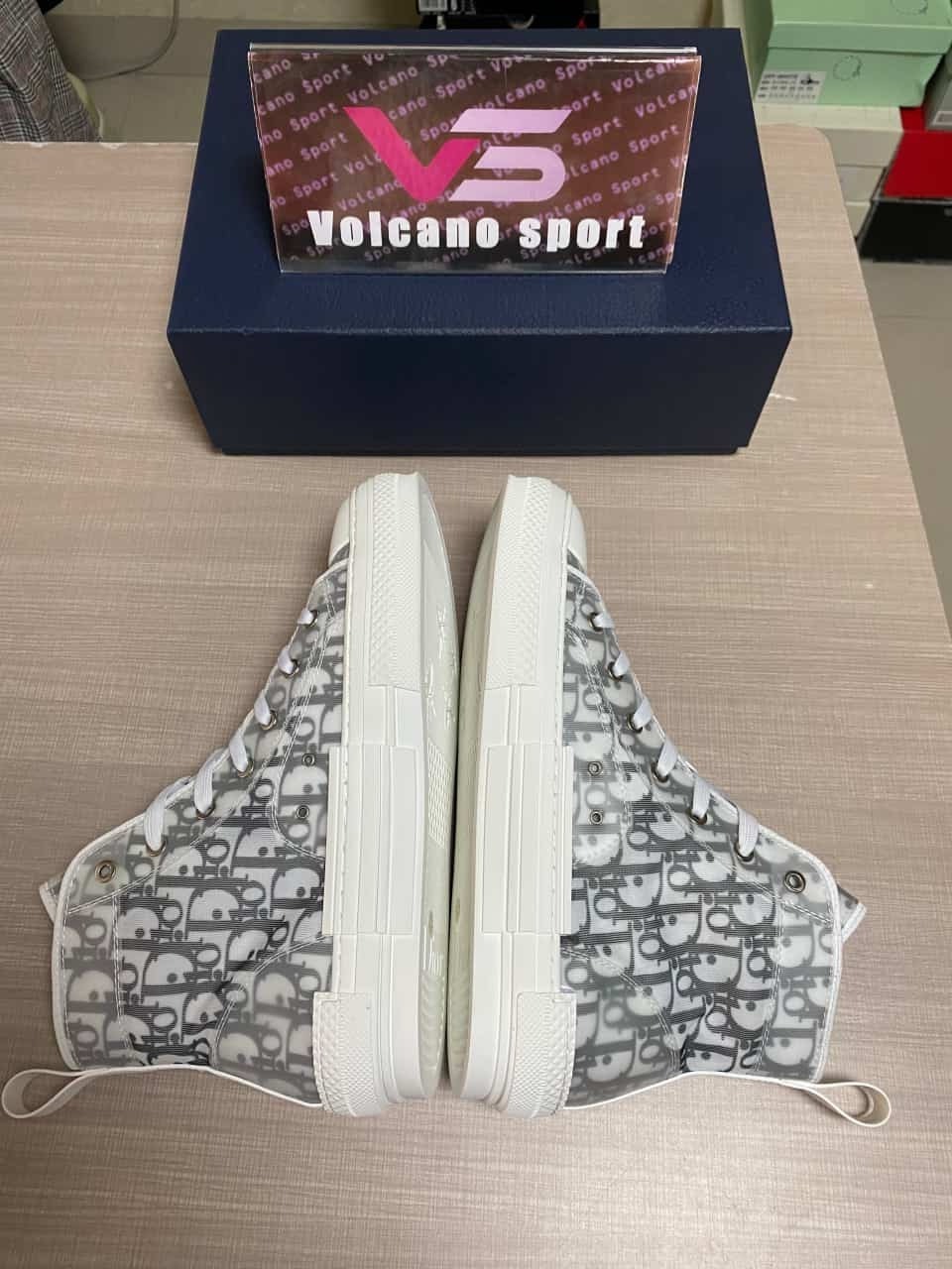 Dior B23 High Top Logo Oblique