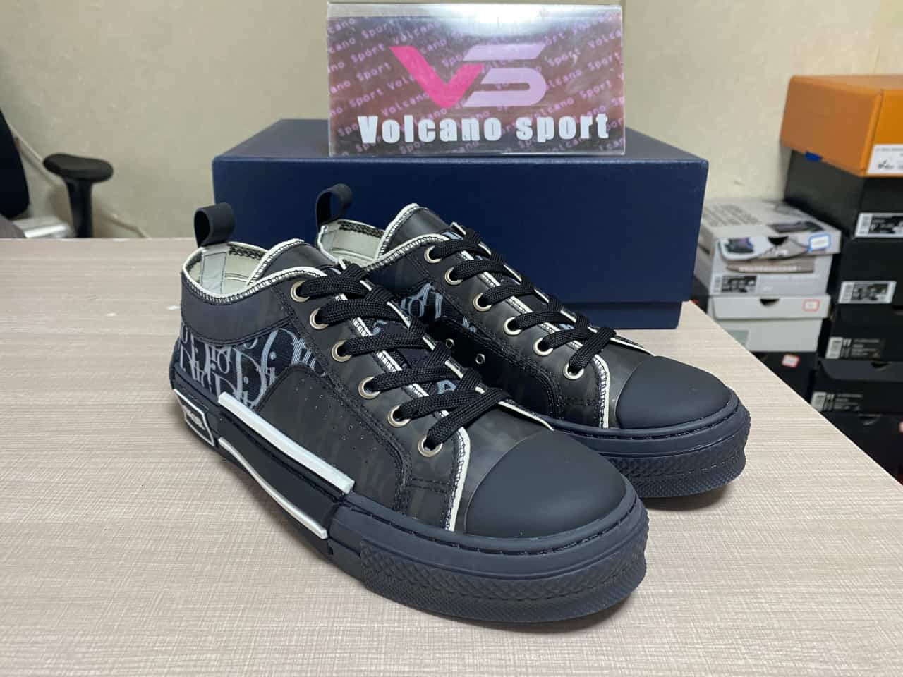 Dior B23 Low Top Canvas Oblique Black