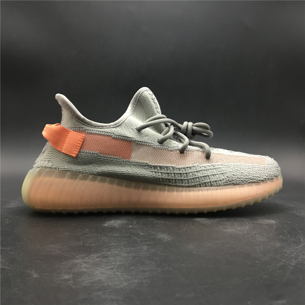 Yeezy Boost 350 V2 True Form