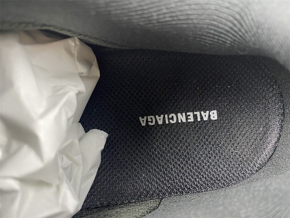 Balenciaga X-PanderSilver