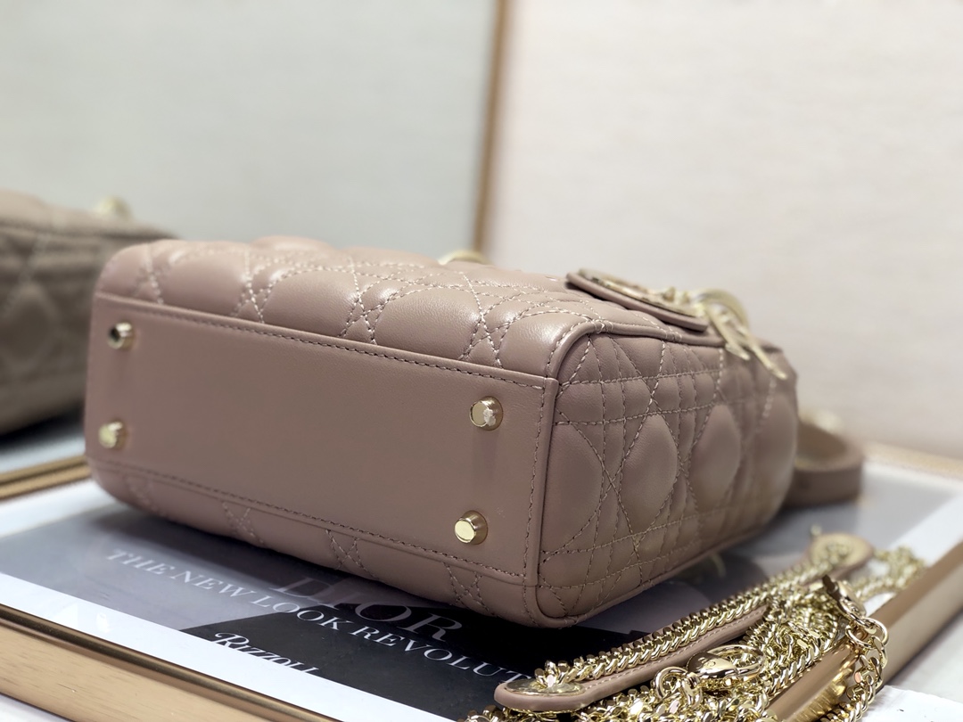 Dior Lady Mini 8203 (8)