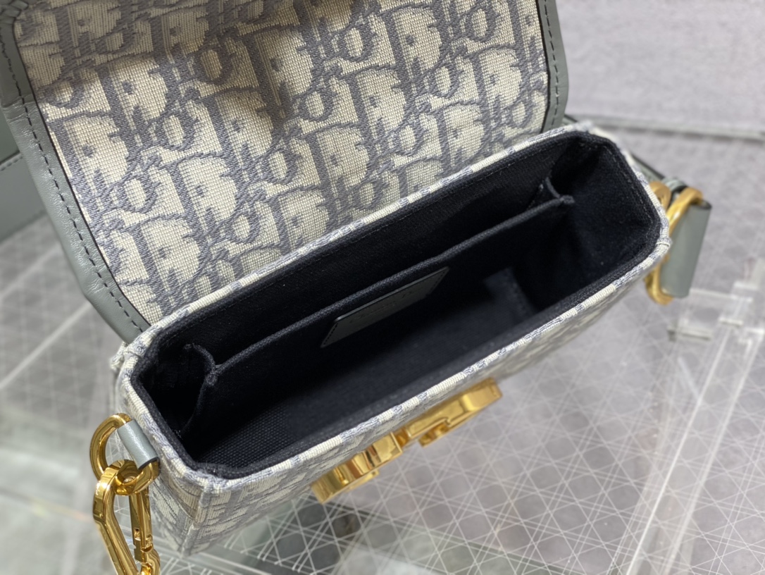 Dior Oblique Mini 8204