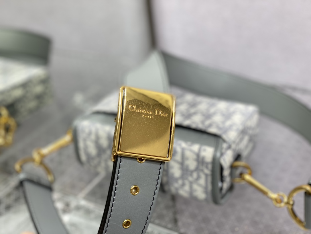 Dior Oblique Mini 8204