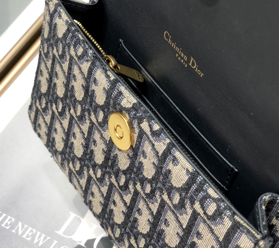 Dior Saddle 2043 17cm