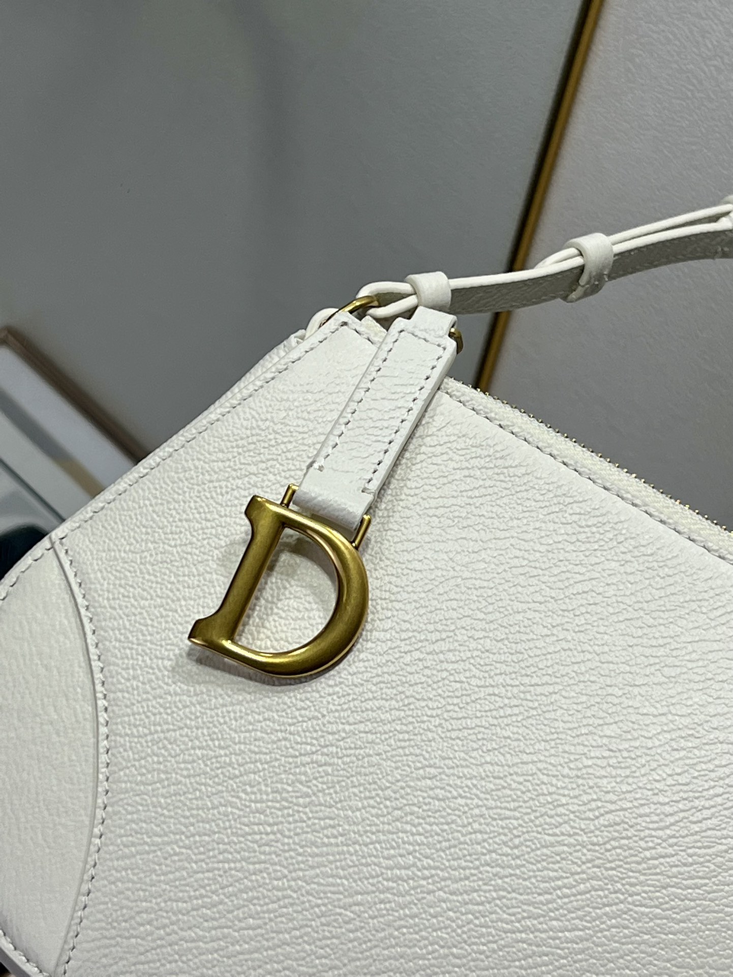 Dior Saddle 24 (8) 20x15x4cm