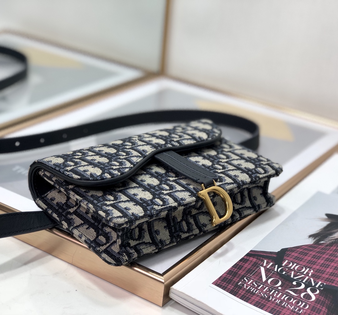 Dior Saddle 2043 17cm