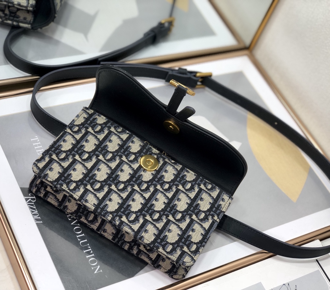 Dior Saddle 2043 17cm