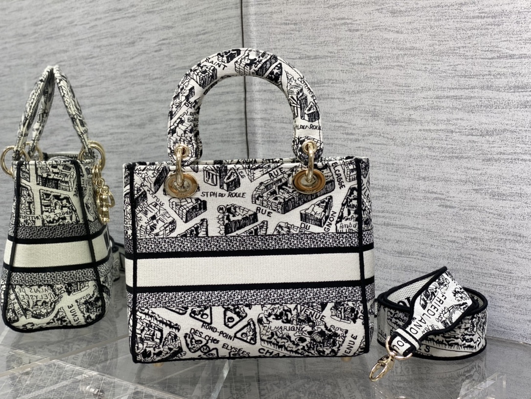 Dior Lady -2 (24) 24*11*20cm