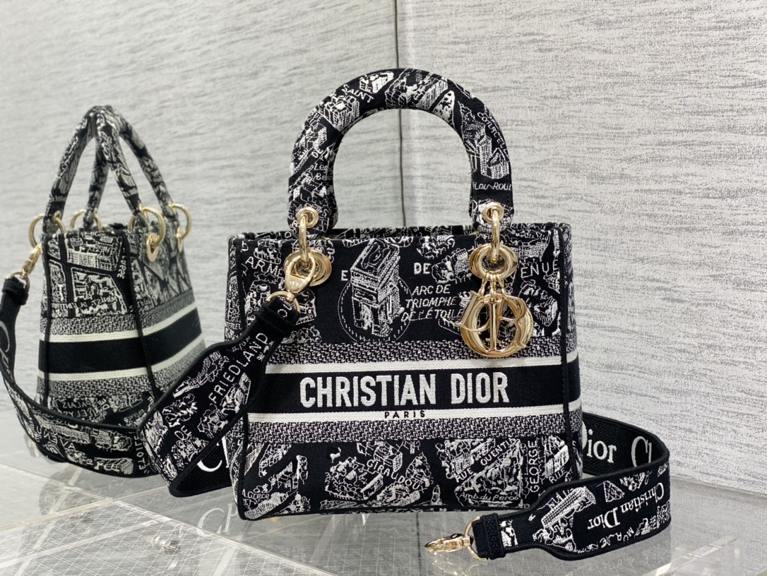 Dior Lady -2 (25) 24*11*20cm