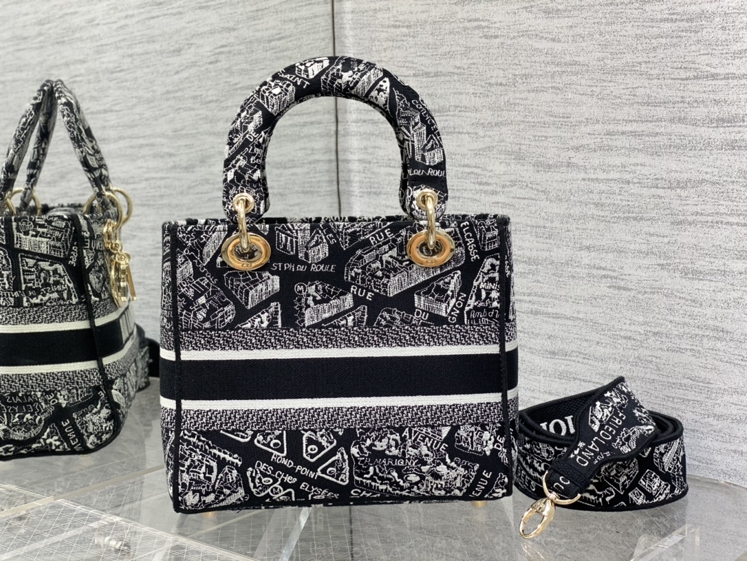 Dior Lady -2 (25) 24*11*20cm
