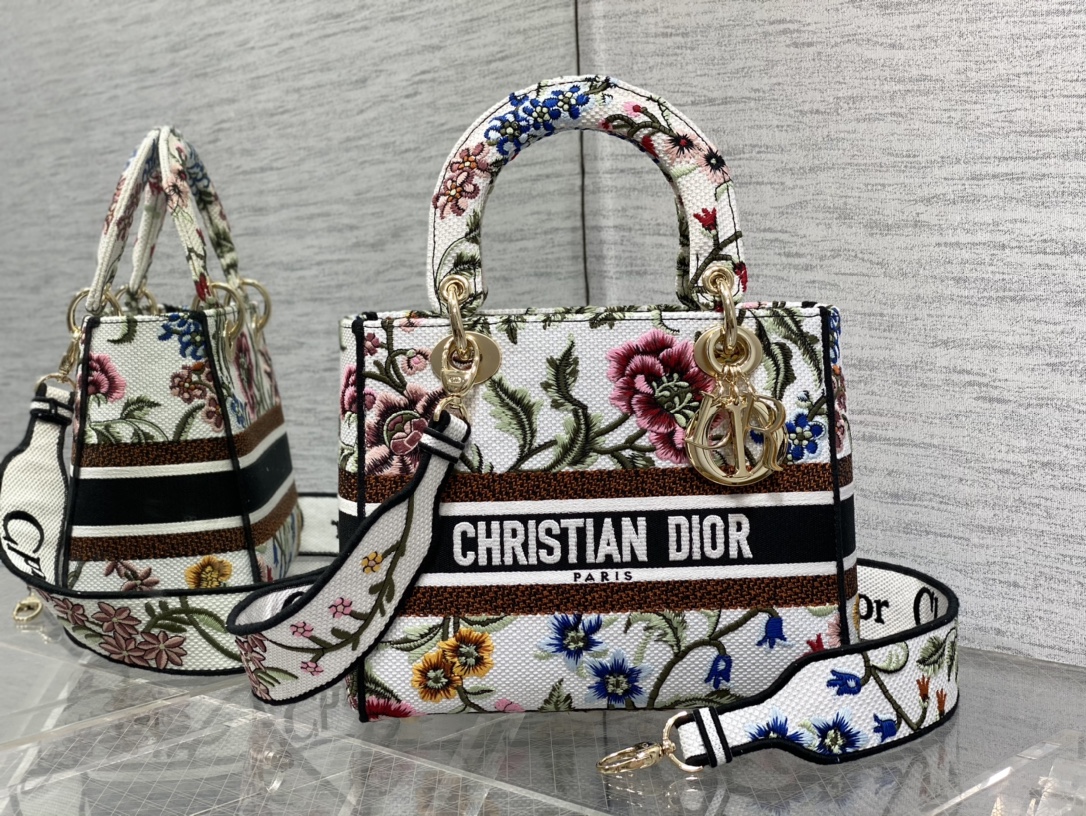 Dior Lady -2 (23) 24*11*20cm