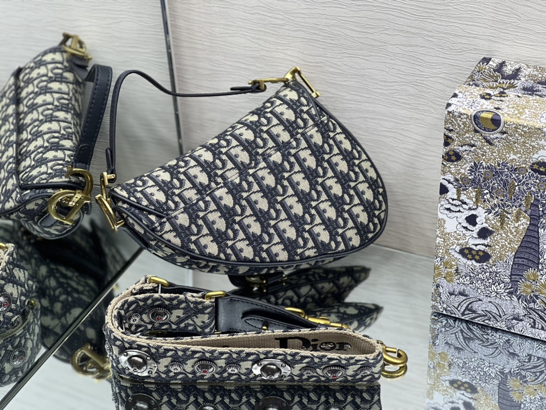 Dior Saddle 22402