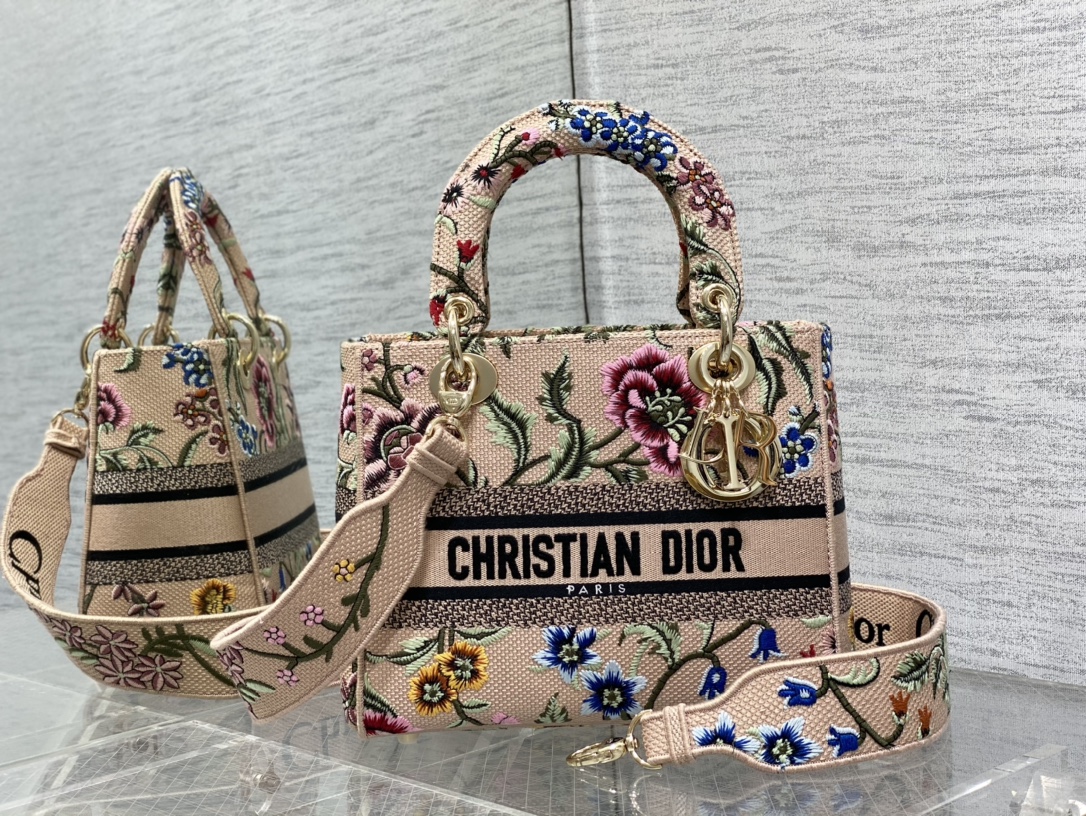 Dior Lady -2 (22) 24*11*20cm
