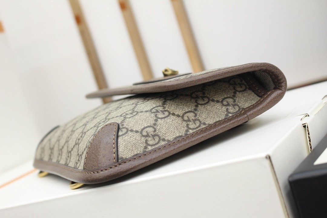 GUCCI Totem GG Superme 489617 20*13*2.4cm