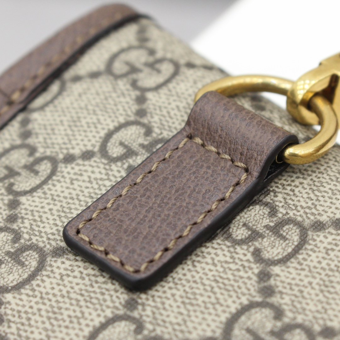 GUCCI Totem GG Superme 489617 20*13*2.4cm