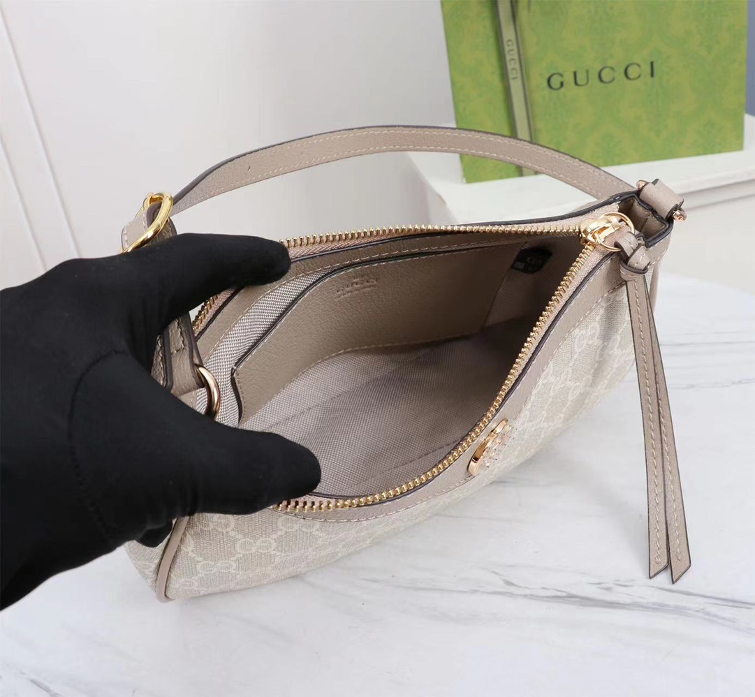 GUCCI Ophidia 735145 21X19X5cm