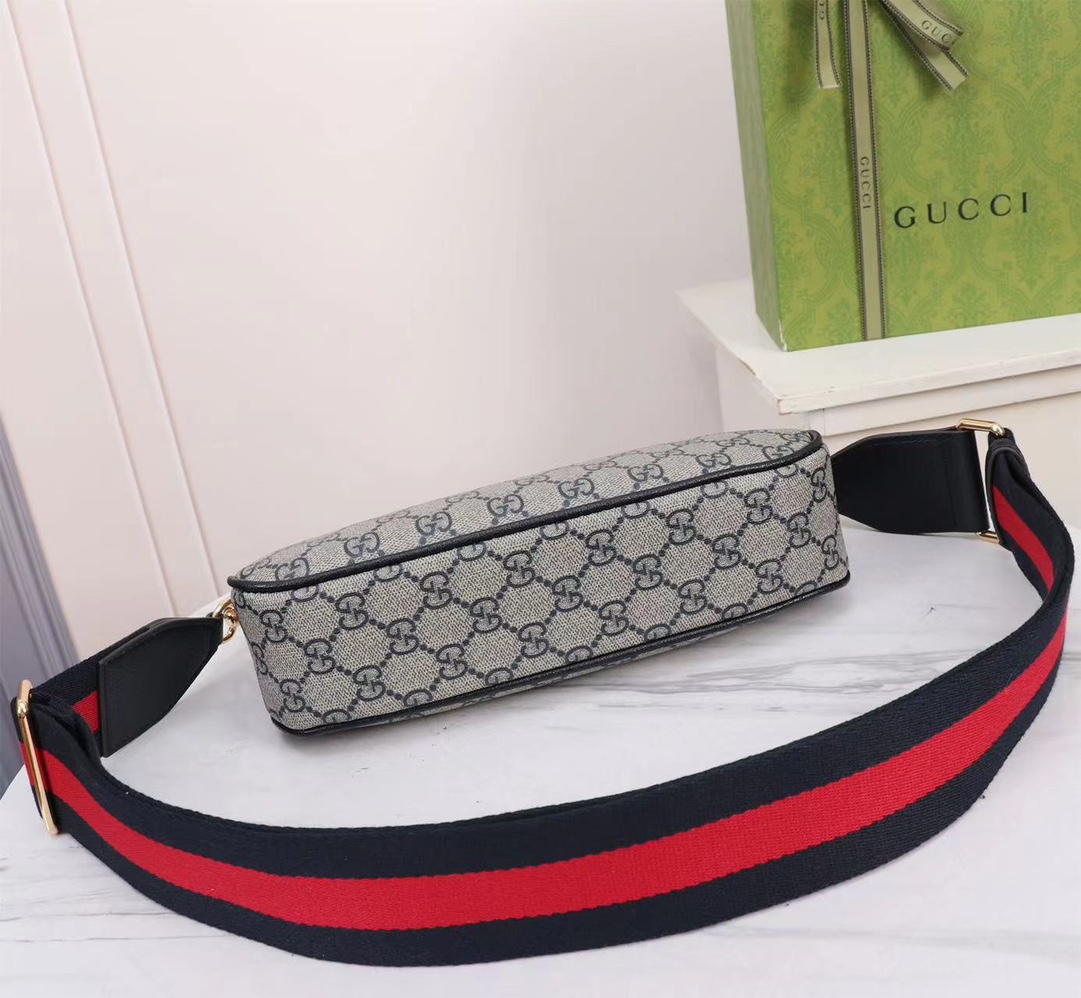 GUCCI Ophidia 735132 25x15.5x6cm