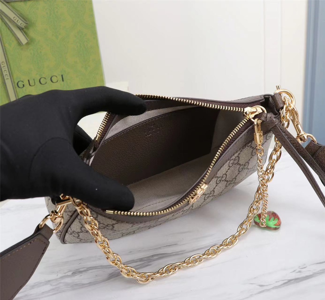 GUCCI Ophidia 735132 25x15.5x6cm
