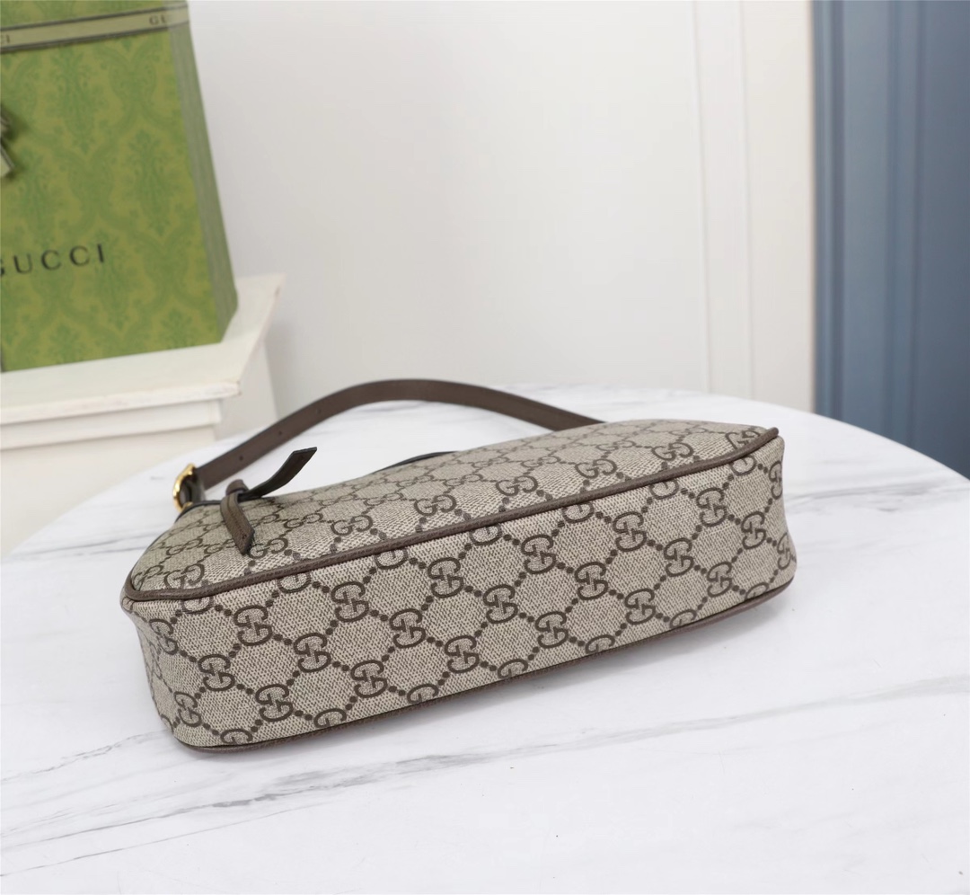 GUCCI Ophidia 735145 21X19X5cm