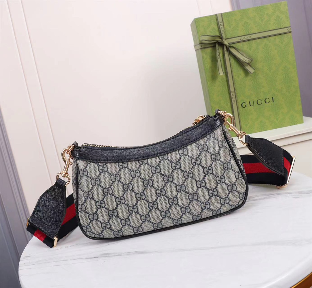 GUCCI Ophidia 735132 25x15.5x6cm