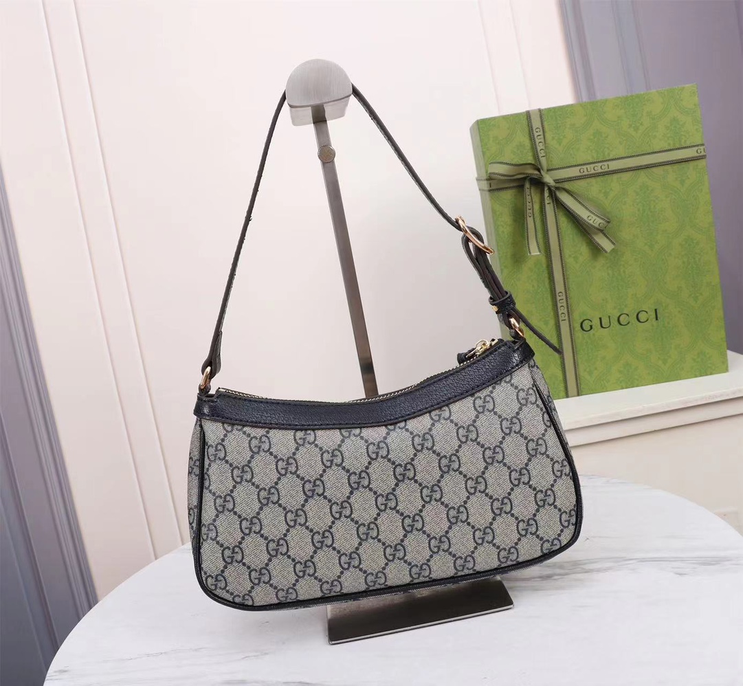 GUCCI Ophidia 735145 21X19X5cm