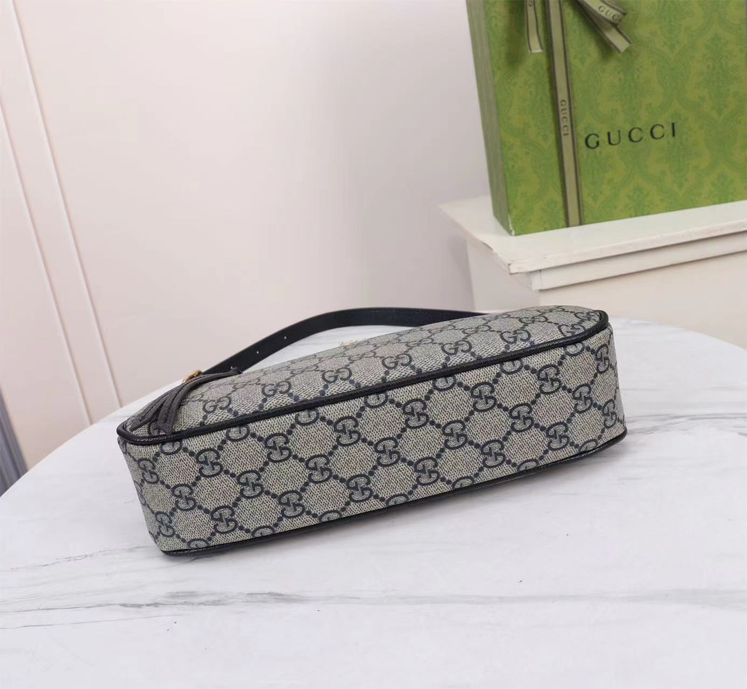 GUCCI Ophidia 735145 21X19X5cm