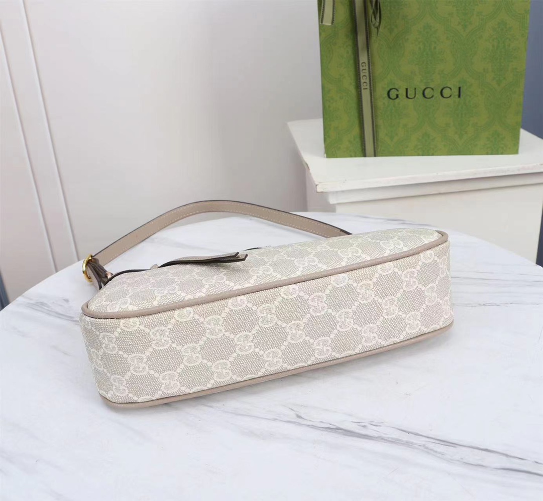 GUCCI Ophidia 735145 21X19X5cm
