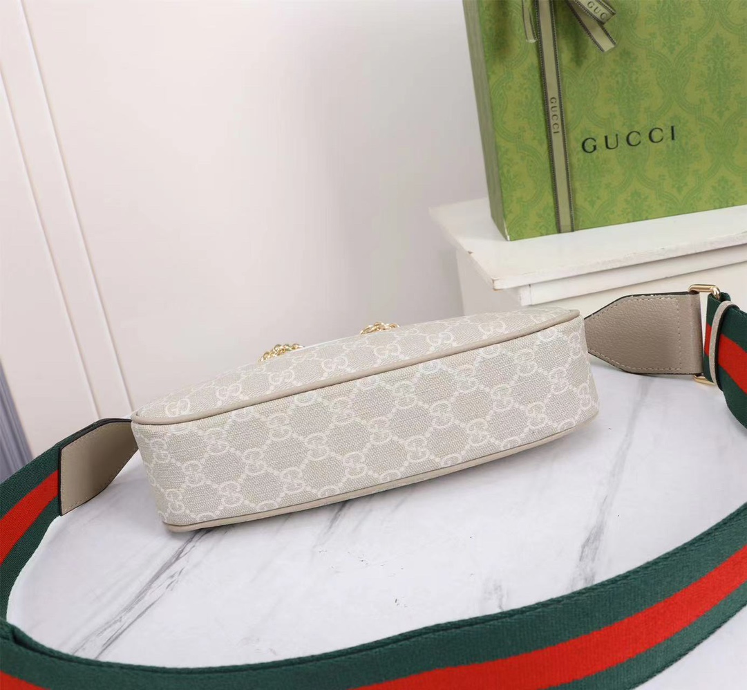GUCCI Ophidia 735132 25x15.5x6cm