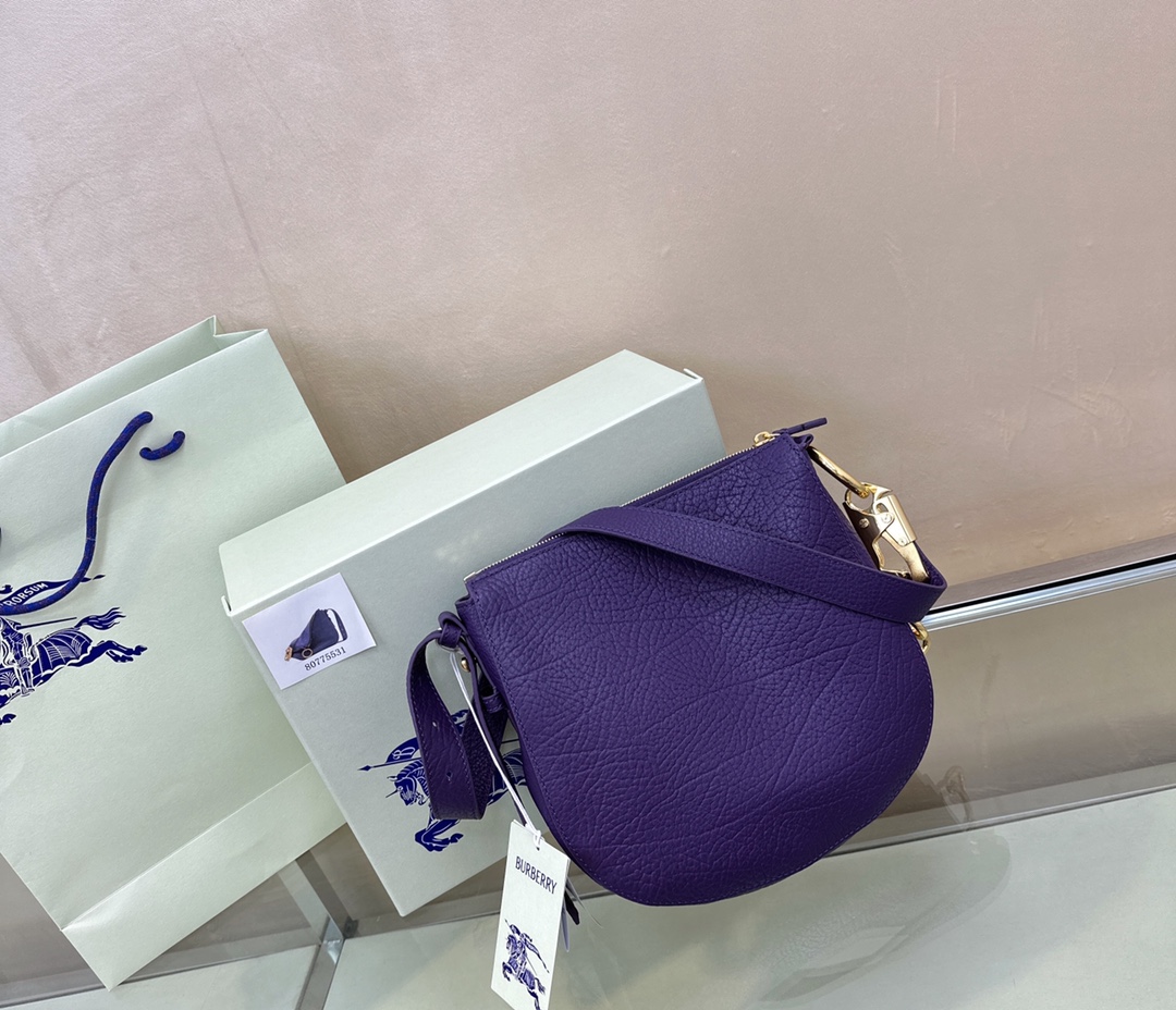 Burberry 553170 (4) 24x×23cm
