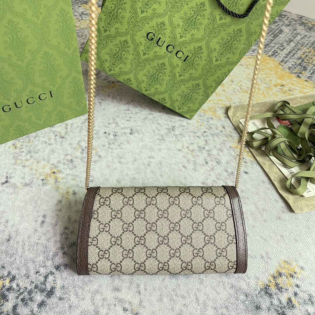 GUCCI 725215 21X10.5cm