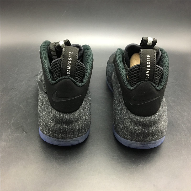 Nike Air Foamposite Pro Wool Fleece 624041-007