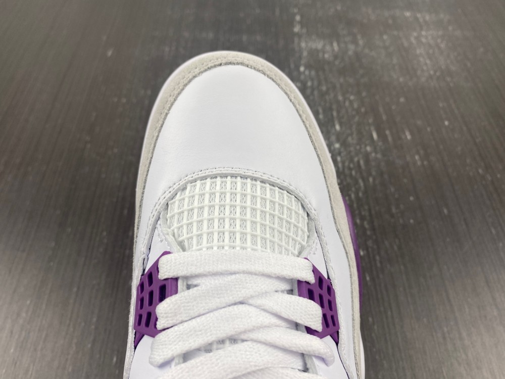 Nike SB x Air Jordan 4 DR5415-150